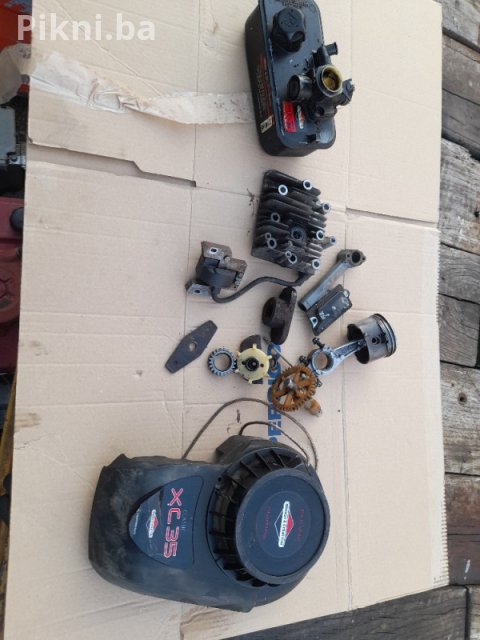 Karburator kosacice Briggs stratton Tecumsen sa rezervarom I filterom