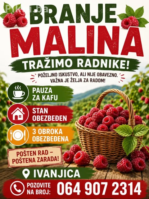 Sezonski Poslovi